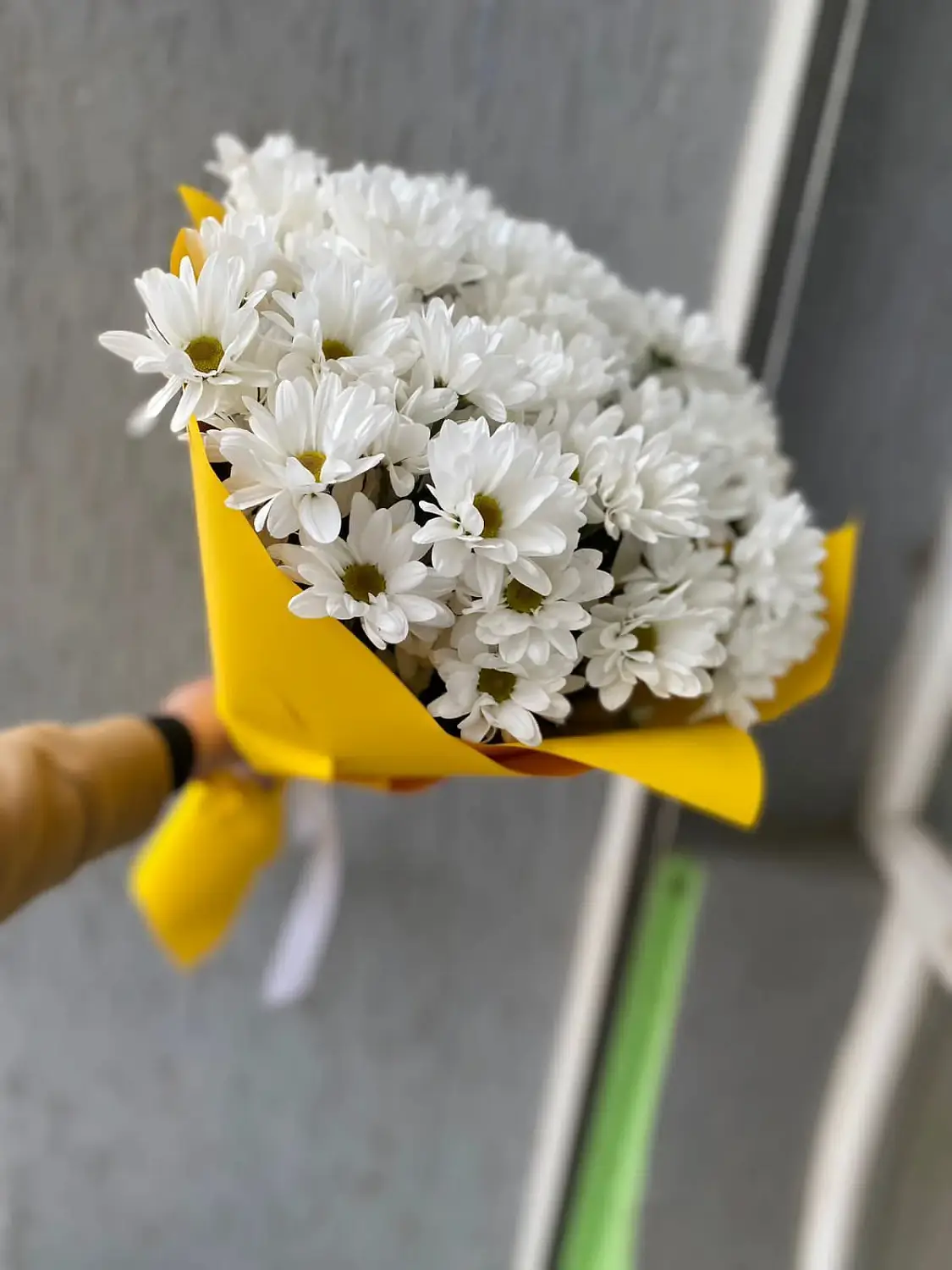 Букет из белых ромашек