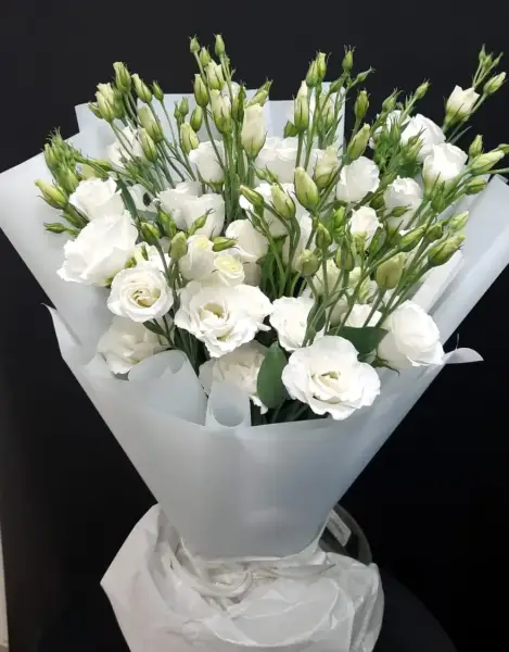 Утренний туман